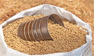 10月全國(guó)飼料產(chǎn)量小幅下降 2022年全國(guó)飼料生產(chǎn)形勢(shì)分析