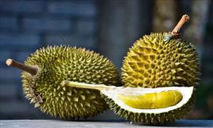 中國首個越南榴蓮線上銷售季 距離“榴蓮自由”還有多遠?
