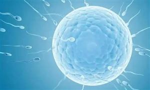 研究稱男性生育能力斷崖式下跌 男性保健品行業(yè)發(fā)展前景及規(guī)模分析