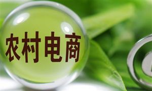 農(nóng)村電子商務(wù)發(fā)展分析 農(nóng)村電子商務(wù)市場運(yùn)營現(xiàn)狀及投資機(jī)遇
