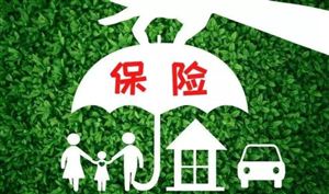 再保險“國際板”建設(shè)規(guī)劃方案亮相 中國再保險市場現(xiàn)狀及轉(zhuǎn)型升級