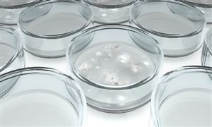 玻璃行業(yè)報(bào)告 玻璃制品行業(yè)深度分析