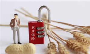 農(nóng)業(yè)保險市場深度分析 農(nóng)業(yè)保險投資前景及保費規(guī)模