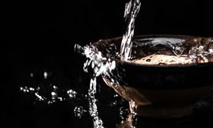 “后疫情”板塊火熱，看好白酒、醫(yī)療服務(wù)、出行等細(xì)分領(lǐng)域 白酒行業(yè)深度分析2023
