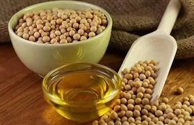 國內(nèi)大豆油期貨價格行情 我國大豆油料擴種成效明顯