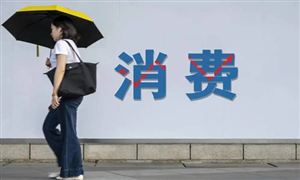 消費(fèi)信貸行業(yè)行業(yè)深度分析及行業(yè)發(fā)展趨勢(shì)
