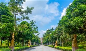 中國陵園墓地產業(yè)鏈發(fā)展現狀 陵園墓地行業(yè)市場發(fā)展空間分析