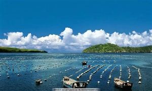 海水養(yǎng)殖行業(yè)發(fā)展現(xiàn)狀 海水養(yǎng)殖行業(yè)發(fā)展政策及潛力