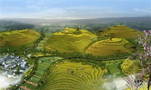 農(nóng)業(yè)旅游行業(yè)相關(guān)企業(yè)數(shù)量 農(nóng)業(yè)旅游行業(yè)未來前景展望