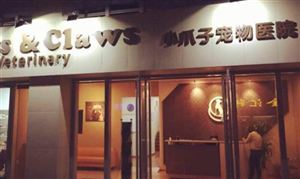 寵物醫(yī)院行業(yè)市場(chǎng)分析 2023寵物醫(yī)院發(fā)展趨勢(shì)前景