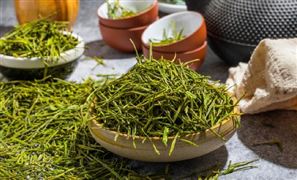 2023白茶行業(yè)分析：市場(chǎng)需求火熱