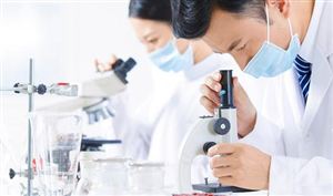 2023對(duì)二甲苯行業(yè)深度調(diào)研與投資戰(zhàn)略研究