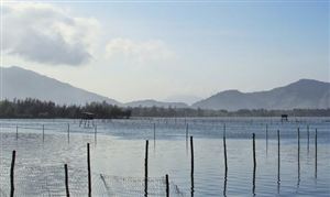 2023水產(chǎn)養(yǎng)殖行業(yè)市場(chǎng)調(diào)研分析 水產(chǎn)養(yǎng)殖業(yè)發(fā)展創(chuàng)新性趨勢(shì)