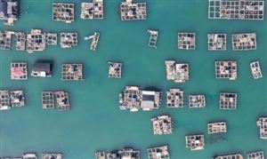 我國(guó)海洋牧場(chǎng)市場(chǎng)規(guī)?，F(xiàn)狀 海洋牧場(chǎng)行業(yè)發(fā)展分析