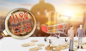 2月LPR公布 互聯(lián)網(wǎng)貸款行業(yè)市場深度調(diào)研及投資策略預測報告