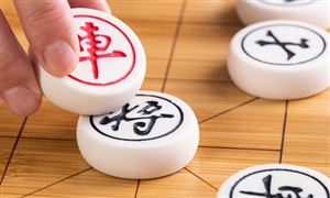 國際象棋行業(yè)分析報告 國際象棋行業(yè)發(fā)展戰(zhàn)略