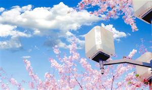 2023年中國網(wǎng)絡(luò)動(dòng)漫行業(yè)市場深度調(diào)研與發(fā)展前景預(yù)測(cè)報(bào)告