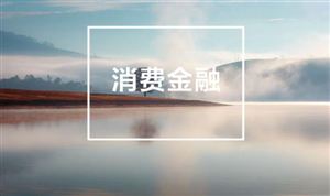 2023消費貸款行業(yè)風險投資態(tài)勢