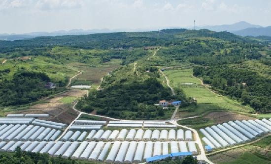 我國農(nóng)村電商正處于轉(zhuǎn)型升級的關(guān)鍵階段 農(nóng)村電子商務(wù)行業(yè)未來發(fā)展趨勢分析2023