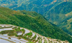 鄉(xiāng)村旅游產(chǎn)業(yè)市場需求 鄉(xiāng)村旅游產(chǎn)業(yè)未來發(fā)展?jié)摿︻A(yù)測