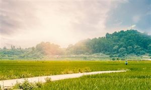 春光正好鄉(xiāng)村迎來(lái)大批游客 中國(guó)鄉(xiāng)村旅游行業(yè)市場(chǎng)分析2023
