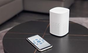2023智能音箱行業(yè)前景預(yù)測與市場調(diào)查報(bào)告
