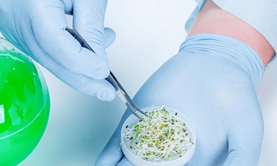 2023年中國生物農(nóng)業(yè)行業(yè)市場深度調(diào)研