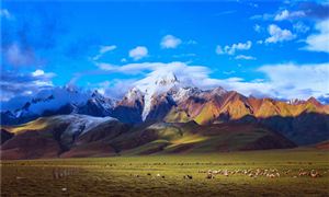2023西藏旅游行業(yè)現(xiàn)狀與市場(chǎng)發(fā)展前景趨勢(shì)分析