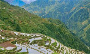 2023鄉(xiāng)村旅游行業(yè)現(xiàn)狀與市場(chǎng)發(fā)展前景趨勢(shì)分析