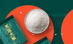 高端大米行業(yè)市場(chǎng)規(guī)模 高端大米行業(yè)發(fā)展前景投資分析2023
