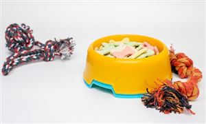 2023寵物食品行業(yè)報(bào)告 寵物食品行業(yè)市場(chǎng)調(diào)研