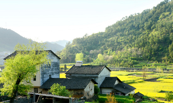 農(nóng)村基本建設(shè)行業(yè)市場分析及投資戰(zhàn)略