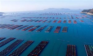 海洋漁業(yè)發(fā)展方向 海洋漁業(yè)行業(yè)前景投資分析2023