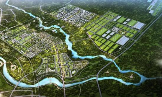 區(qū)域產(chǎn)業(yè)規(guī)劃市場深度調研 區(qū)域產(chǎn)業(yè)規(guī)劃發(fā)展機會投資方向 