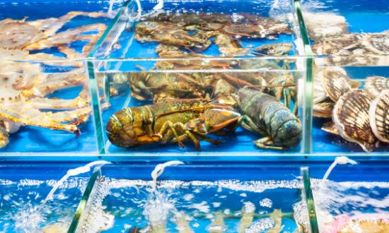 2023水產(chǎn)品流通市場發(fā)展現(xiàn)狀及前景分析