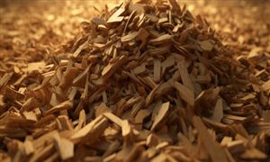 高分子材料行業(yè)市場多大?高分子材料行業(yè)發(fā)展前景及趨勢分析2023