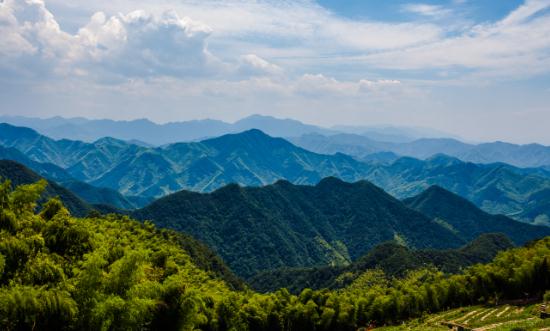 2023中國森林旅游行業(yè)發(fā)展分析