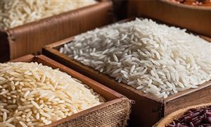 2023糧食物流行業(yè)市場(chǎng)全景分析報(bào)告