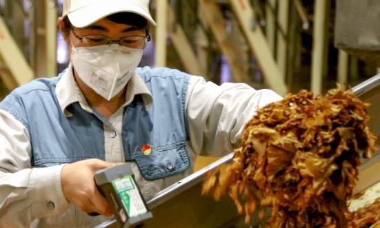 2023煙草生產(chǎn)行業(yè)發(fā)展前景現(xiàn)狀分析