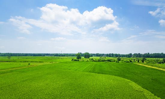 2023年中國節(jié)水農(nóng)業(yè)行業(yè)發(fā)展現(xiàn)狀調(diào)查 節(jié)水農(nóng)業(yè)行業(yè)相關(guān)政策梳理
