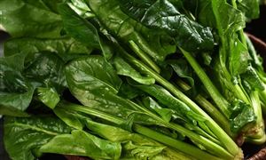 中國綠色蔬菜行業(yè)發(fā)展趨勢 中國綠色蔬菜行業(yè)發(fā)展前景分析