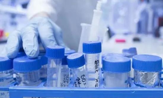 生物試劑行業(yè)市場占有率 2023生物分子試劑行業(yè)發(fā)展前景投資分析