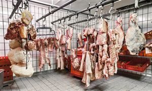 豬肉深加工行業(yè)市場(chǎng)投資策略預(yù)測(cè)2023
