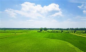 2023年中國(guó)微生物肥料行業(yè)發(fā)展現(xiàn)狀及行業(yè)企業(yè)競(jìng)爭(zhēng)格局分析