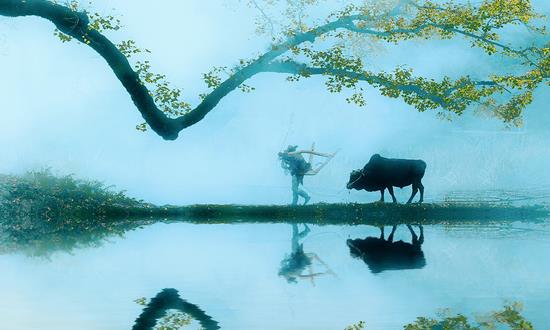 中國美麗鄉(xiāng)村建設(shè)投資現(xiàn)狀 中國美麗鄉(xiāng)村建設(shè)發(fā)展前景預(yù)測(cè)