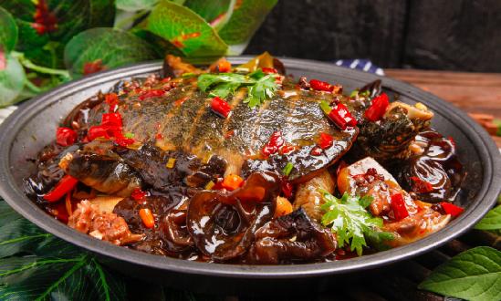 2023年甲魚養(yǎng)殖市場行情走勢 甲魚養(yǎng)殖行業(yè)投資風險分析