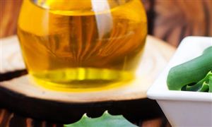 中國DHA藻油零售行業(yè)發(fā)展趨勢分析 中國DHA藻油零售行業(yè)投資前景預測
