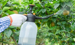 2023無毒生物農(nóng)藥行業(yè)市場(chǎng)分析及投資潛力