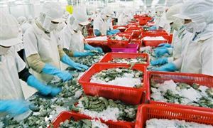 水產品加工行業(yè)發(fā)展現狀前景投資