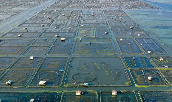 大閘蟹養(yǎng)殖市場(chǎng)發(fā)展趨勢(shì)及現(xiàn)狀分析2023